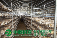 湖南省黄石市食用菌温室大棚公司
