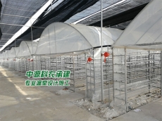 武汉阜阳市食用菌温室大棚公司
