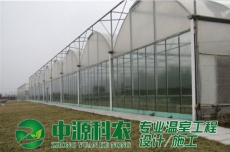 武汉六安市食用菌温室大棚公司